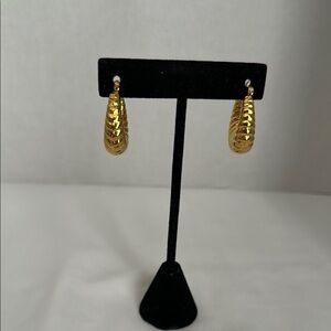 Elegant Gold Hoop Earrings